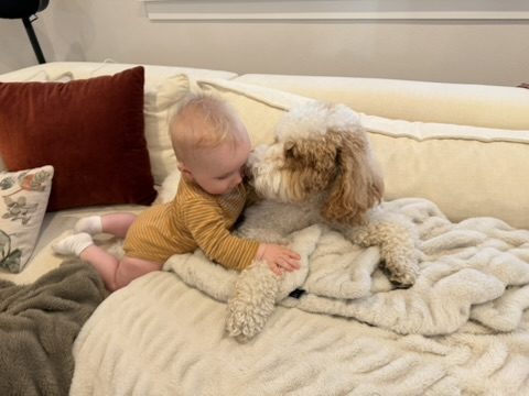 Mark's newest grandchild, a baby, nuzzling a fluffy doodle dog on a cream sofa